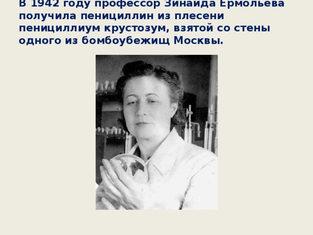 В 1942 году профессор Зинаида Ермольева получила пенициллин из плесени пенициллиум крустозум, взятой со стены одного из бомбоубежищ Москвы.    