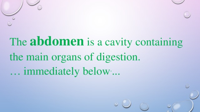 The abdomen is a cavity containing the main organs of digestion. … immediately below . ... 