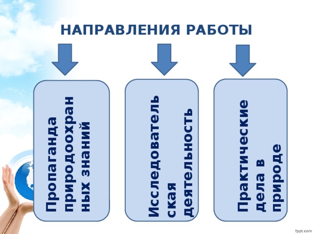 Пропаганда природоохранных знаний Исследовательская деятельность Практические дела в природе НАПРАВЛЕНИЯ РАБОТЫ 