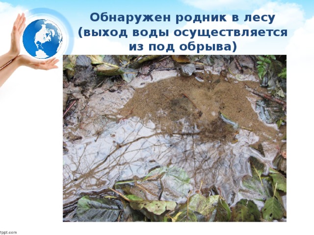 Обнаружен родник в лесу  (выход воды осуществляется из под обрыва) 