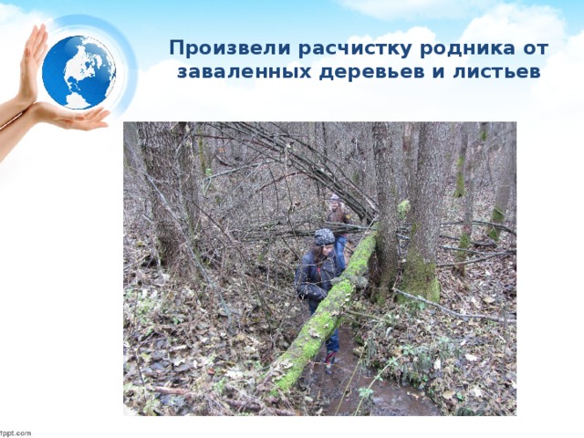 Произвели расчистку родника от заваленных деревьев и листьев 