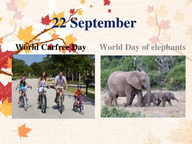 22 September World Carfree Day World Day of elephants 
