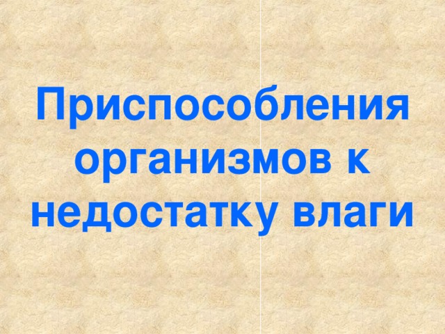 Приспособления организмов к недостатку влаги 