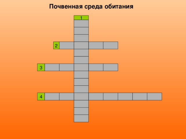 Почвенная среда обитания 