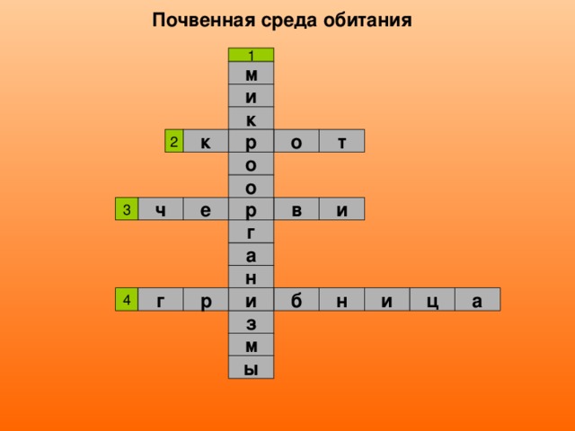 Почвенная среда обитания м и к т к о р о о и в ч е р г а н и а ц г б н р и з м ы 