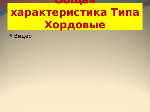 Общая характеристика Типа Хордовые Видео 