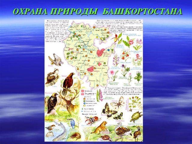 ОХРАНА ПРИРОДЫ БАШКОРТОСТАНА 