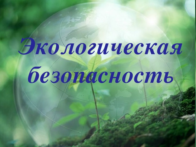 Экологическая безопасность    