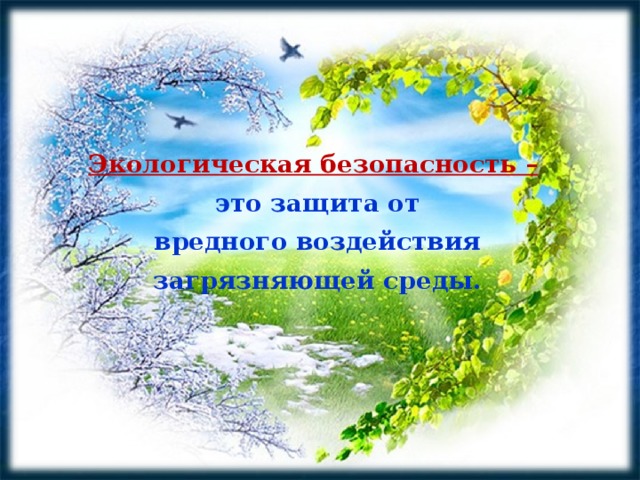 Экологическая безопасность –  это защита от  вредного воздействия загрязняющей среды. 