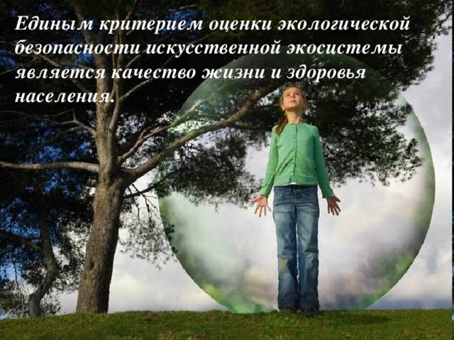 Единым критерием оценки экологической безопасности искусственной экосистемы является качество жизни и здоровья населения.  