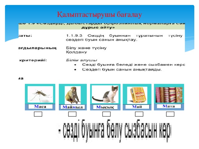 Қалыптастырушы бағалау 