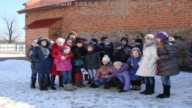 Конный завод «Георгенбург» в Черняховске. 