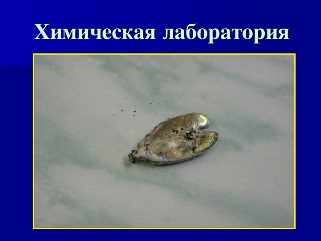 Химическая лаборатория 