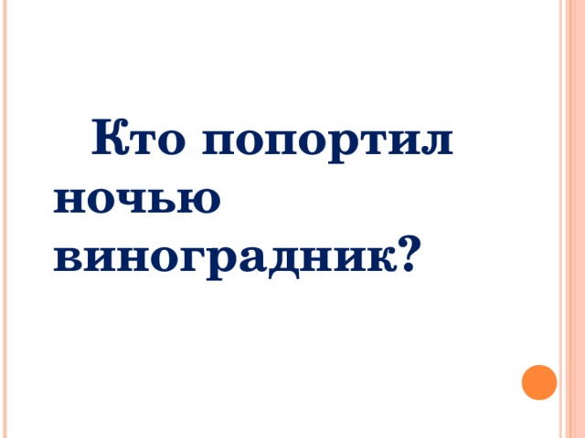  Кто попортил  ночью виноградник? 