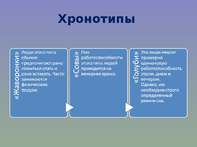 Хронотипы 