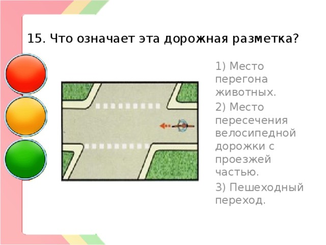  15. Что означает эта дорожная разметка? 1) Место перегона животных. 2) Место пересечения велосипедной дорожки с проезжей частью. 3) Пешеходный переход. 