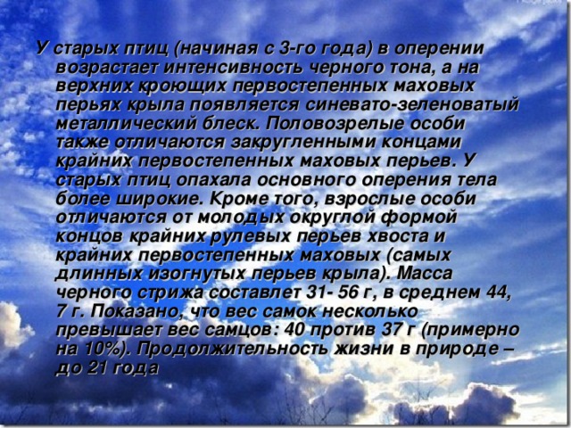 У старых птиц (начиная с 3-го года) в оперении возрастает интенсивность черного тона, а на верхних кроющих первостепенных маховых перьях крыла появляется синевато-зеленоватый металлический блеск. Половозрелые особи также отличаются закругленными концами крайних первостепенных маховых перьев. У старых птиц опахала основного оперения тела более широкие. Кроме того, взрослые особи отличаются от молодых округлой формой концов крайних рулевых перьев хвоста и крайних первостепенных маховых (самых длинных изогнутых перьев крыла). Масса черного стрижа составлет 31- 56 г, в среднем 44, 7 г. Показано, что вес самок несколько превышает вес самцов: 40 против 37 г (примерно на 10%). Продолжительность жизни в природе – до 21 года 