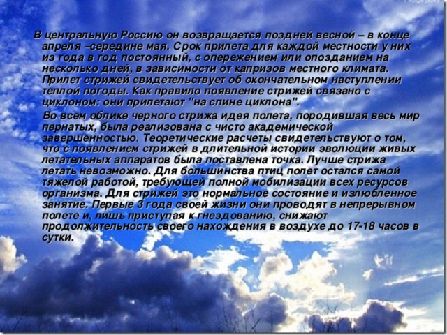  В центральную Россию он возвращается поздней весной – в конце апреля –середине мая. Срок прилета для каждой местности у них из года в год постоянный, с опережением или опозданием на несколько дней, в зависимости от капризов местного климата. Прилет стрижей свидетельствует об окончательном наступлении теплой погоды. Как правило появление стрижей связано с циклоном: они прилетают 