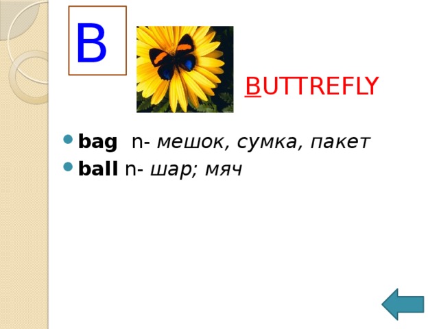 B B UTTREFLY bag   n-  мешок, сумка, пакет   ball  n-  шар; мяч   