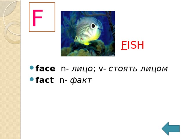 F F ISH face   n-  лицо ; v-  стоять лицом fact   n-  факт   