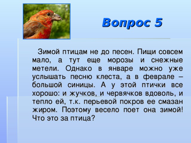 Вопрос 5  Зимой птицам не до песен. Пищи совсем мало, а тут еще морозы и снежные метели. Однако в январе можно уже услышать песню клеста, а в феврале – большой синицы. А у этой птички все хорошо: и жучков, и червячков вдоволь, и тепло ей, т.к. перьевой покров ее смазан жиром. Поэтому весело поет она зимой! Что это за птица? 