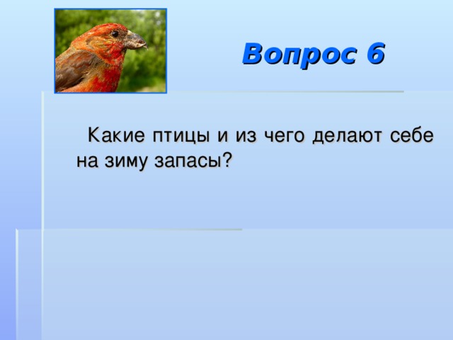 Вопрос 6  Какие птицы и из чего делают себе на зиму запасы? 