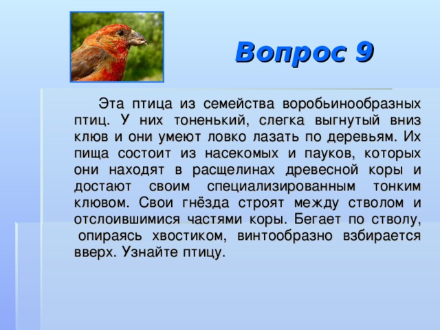 Вопрос 9  Эта птица из семейства воробьинообразных птиц. У них тоненький, слегка выгнутый вниз клюв и они умеют ловко лазать по деревьям. Их пища состоит из насекомых и пауков, которых они находят в расщелинах древесной коры и достают своим специализированным тонким клювом. Свои гнёзда строят между стволом и отслоившимися частями коры. Бегает по стволу,  опираясь хвостиком, винтообразно взбирается вверх. Узнайте птицу. 