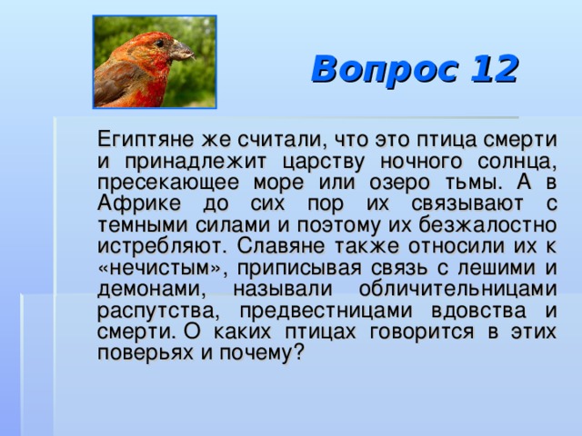 Вопрос 12  Египтяне же считали, что это птица смерти и принадлежит царству ночного солнца, пресекающее море или озеро тьмы. А в Африке до сих пор их связывают с темными силами и поэтому их безжалостно истребляют. Славяне также относили их к «нечистым», приписывая связь с лешими и демонами, называли обличительницами распутства, предвестницами вдовства и смерти. О каких птицах говорится в этих поверьях и почему? 