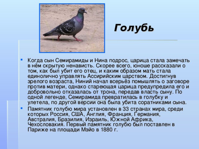 Голубь Когда сын Семирамиды и Нина подрос, царица стала замечать в нём скрытую ненависть. Скорее всего, юноше рассказали о том, как был убит его отец, и каким образом мать стала единолично управлять Ассирийским царством. Достигнув зрелого возраста, Ниний начал всерьёз помышлять о заговоре против матери, однако стареющая царица предупредила его и добровольно отказалась от трона, передав власть сыну. По одной легенде, Семирамида превратилась в голубку и улетела, по другой версии она была убита соратниками сына. Памятник голубю мира установлен в 33 странах мира, среди которых Россия, США, Англия, Франция, Германия, Австралия, Бразилия, Израиль, Южной Африка, Чехословакия. Первый памятник голубю был поставлен в Париже на площади Мэйо в 1880 г. 