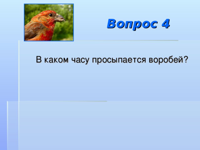 Вопрос 4  В каком часу просыпается воробей? 