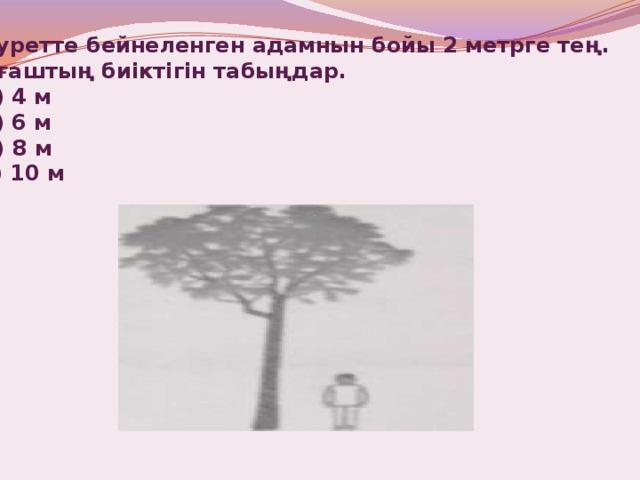 Суретте бейнеленген адамнын бойы 2 метрге тең. Ағаштың биіктігін табыңдар. а) 4 м ә) 6 м б) 8 м с) 10 м 