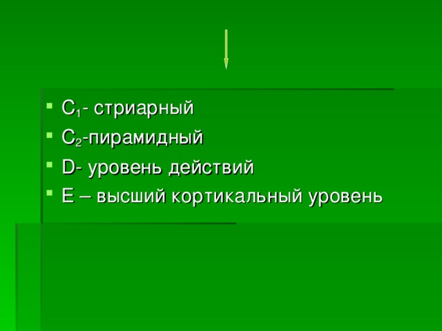 С 1 - стриарный С 2 -пирамидный D - уровень действий Е – высший кортикальный уровень 