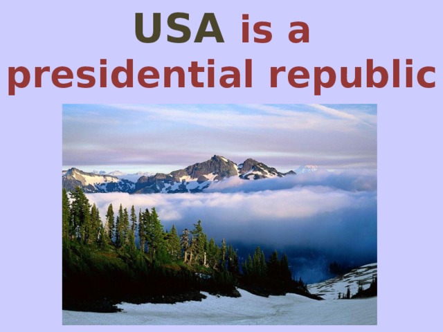 USA  is a presidential republic 