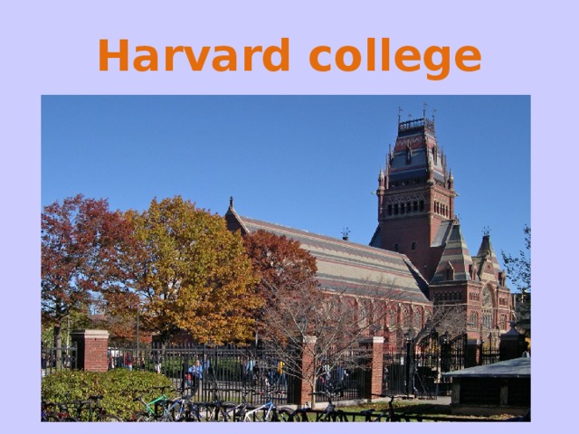 Harvard college 