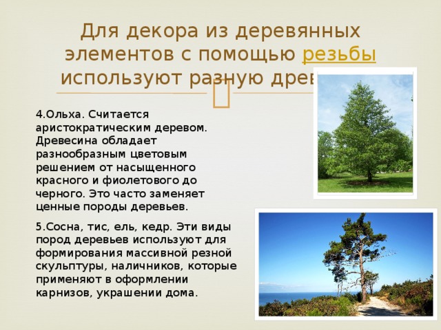 Для декора из деревянных элементов с помощью  резьбы  используют разную древесину: 4.Ольха. Считается аристократическим деревом. Древесина обладает разнообразным цветовым решением от насыщенного красного и фиолетового до черного. Это часто заменяет ценные породы деревьев. 5.Сосна, тис, ель, кедр. Эти виды пород деревьев используют для формирования массивной резной скульптуры, наличников, которые применяют в оформлении карнизов, украшении дома. 