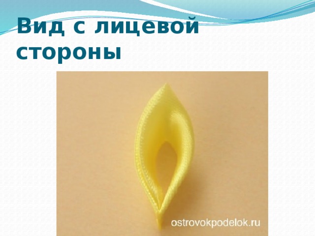 Вид с лицевой стороны 