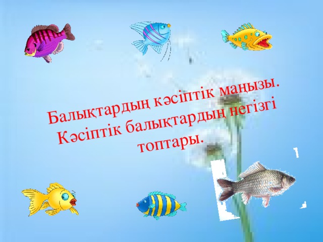 Балықтардың кәсіптік маңызы. Кәсіптік балықтардың негізгі топтары. 