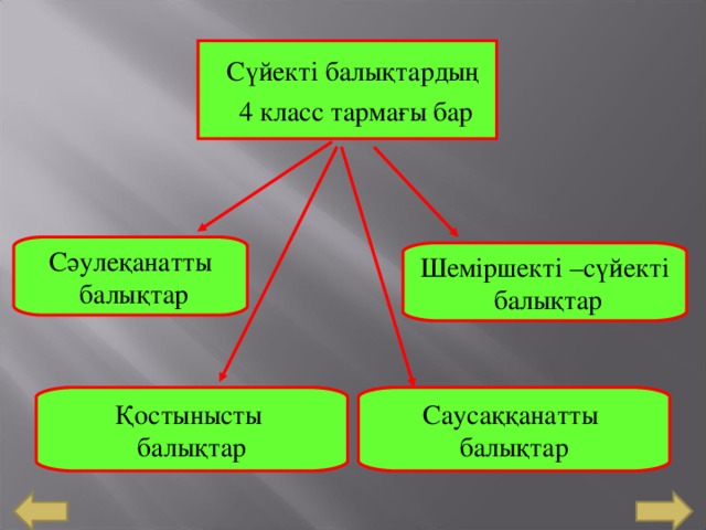 Сүйекті балықтардың  4 класс тармағы бар Сәулеқанатты  балықтар Шеміршекті –с үйекті  балықтар Қостынысты балықтар Саусаққанатты балықтар 