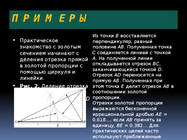 П Р И М Е Р Ы Из точки В восставляется перпендикуляр, равный половине АВ . Полученная точка С соединяется линией с точкой А . На полученной линии откладывается отрезок ВС , заканчивающийся точкой D . Отрезок AD переносится на прямую АВ . Полученная при этом точка Е делит отрезок АВ в соотношении золотой пропорции. Отрезки золотой пропорции выражаются бесконечной иррациональной дробью AE = 0,618..., если АВ принять за единицу, ВЕ = 0,382... Для практических целей часто используют приближенные значения 0,62 и 0,38. Если отрезок АВ принять за 100 частей, то большая часть отрезка равна 62, а меньшая – 38 частям. Практическое знакомство с золотым сечением начинают с деления отрезка прямой в золотой пропорции с помощью циркуля и линейки. Рис. 2. Деление отрезка прямой по золотому сечению. BC = 1/2 AB ; CD = BC 