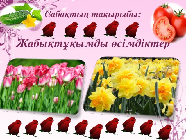 Сабақтың тақырыбы:  Жабықтұқымды өсімдіктер 