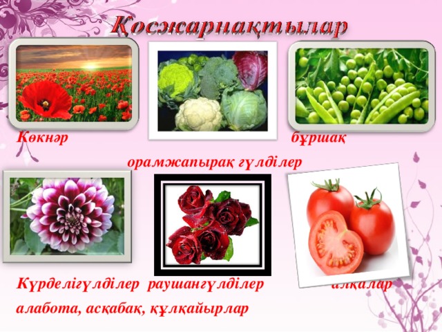    Көкнәр бұршақ  орамжапырақ гүлділер     Күрделігүлділер раушангүлділер алқалар алабота, асқабақ, құлқайырлар           