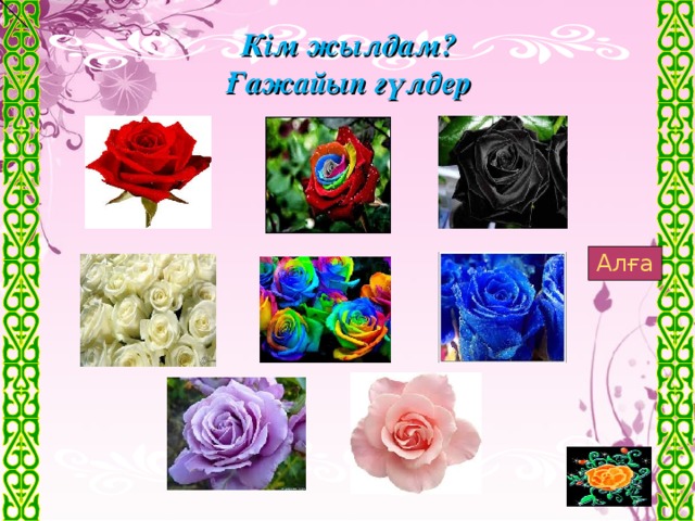 Кім жылдам? Ғажайып гүлдер Алға 
