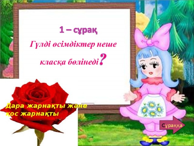 Дара жарнақты және қос жарнақты С ұраққа С ұраққа 