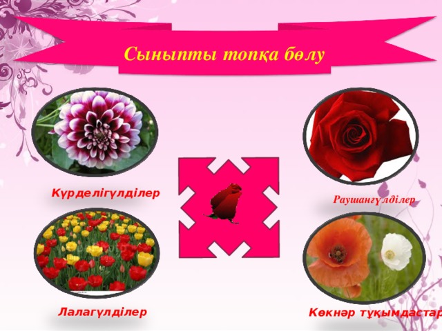 Сыныпты топқа бөлу Күрделігүлділер Раушангүлділер Лалагүлділер Көкнәр тұқымдастар 