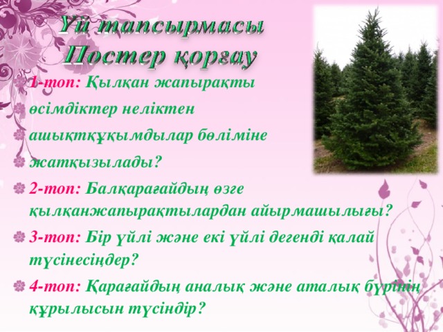 1-топ: Қылқан жапырақты өсімдіктер неліктен ашықтқұқымдылар бөліміне жатқызылады? 2-топ: Балқарағайдың өзге қылқанжапырақтылардан айырмашылығы? 3-топ: Бір үйлі және екі үйлі дегенді қалай түсінесіңдер? 4-топ: Қарағайдың аналық және аталық бүрінің құрылысын түсіндір?  