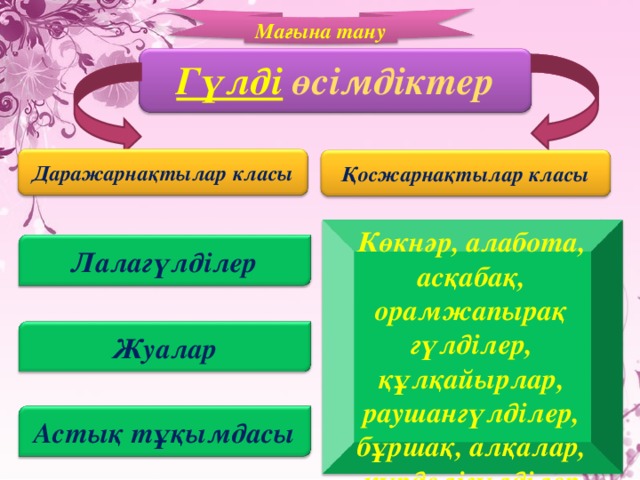Мағына тану  Гүлді  өсімдіктер  Даражарнақтылар класы Қосжарнақтылар класы Көкнәр, алабота, асқабақ, орамжапырақ гүлділер, құлқайырлар, раушангүлділер, бұршақ, алқалар, күрделігүлділер Лалагүлділер Жуалар Астық тұқымдасы 8 