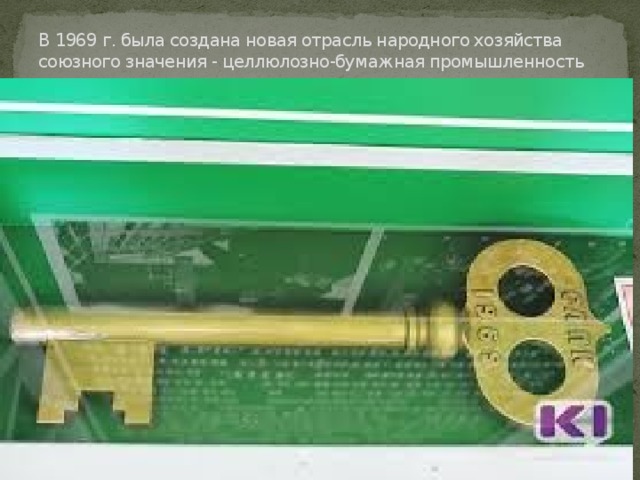 В 1969 г. была создана новая отрасль народного хозяйства союзного значения - целлюлозно-бумажная промышленность   