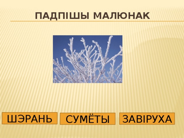 Падпішы малюнак ШЭРАНЬ ЗАВІРУХА СУМЁТЫ 