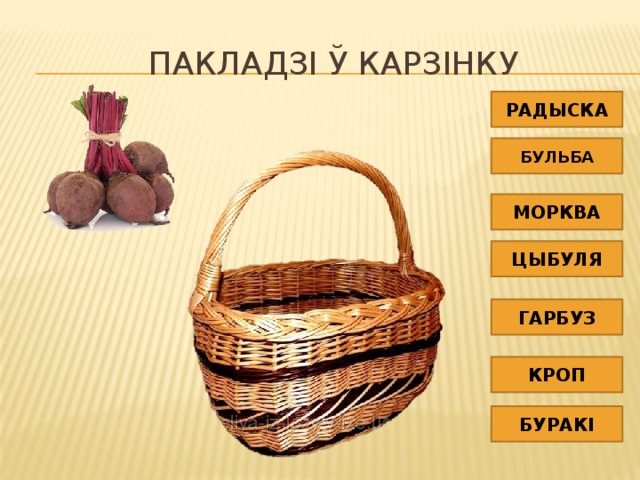 Пакладзі ў карзінку РАДЫСКА БУЛЬБА МОРКВА ЦЫБУЛЯ ГАРБУЗ КРОП БУРАКІ 