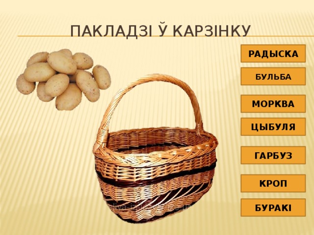 Пакладзі ў карзінку РАДЫСКА БУЛЬБА МОРКВА ЦЫБУЛЯ ГАРБУЗ КРОП БУРАКІ 